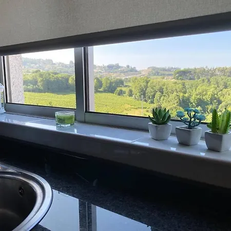 Apartamento S. Mamede House - Penafiel Recezinhos