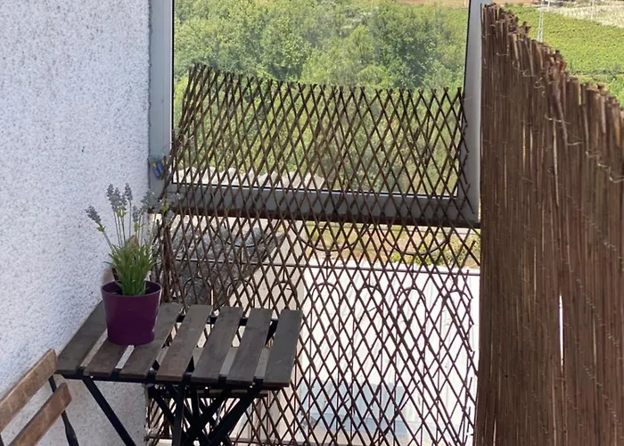 Διαμέρισμα S. Mamede House - Penafiel *