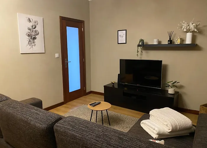 Appartement S. Mamede House - Penafiel *